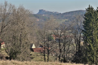 /album/edelsbach-tulpenwanderweg-16-februar-2024/tulpenwanderweg-16-02-2024-34-jpg/